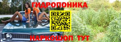 ешки Рязань