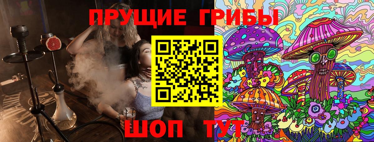 Тимашёвск  хочу   Вход с VPN  Псилоцибиновые грибы ЛСД 